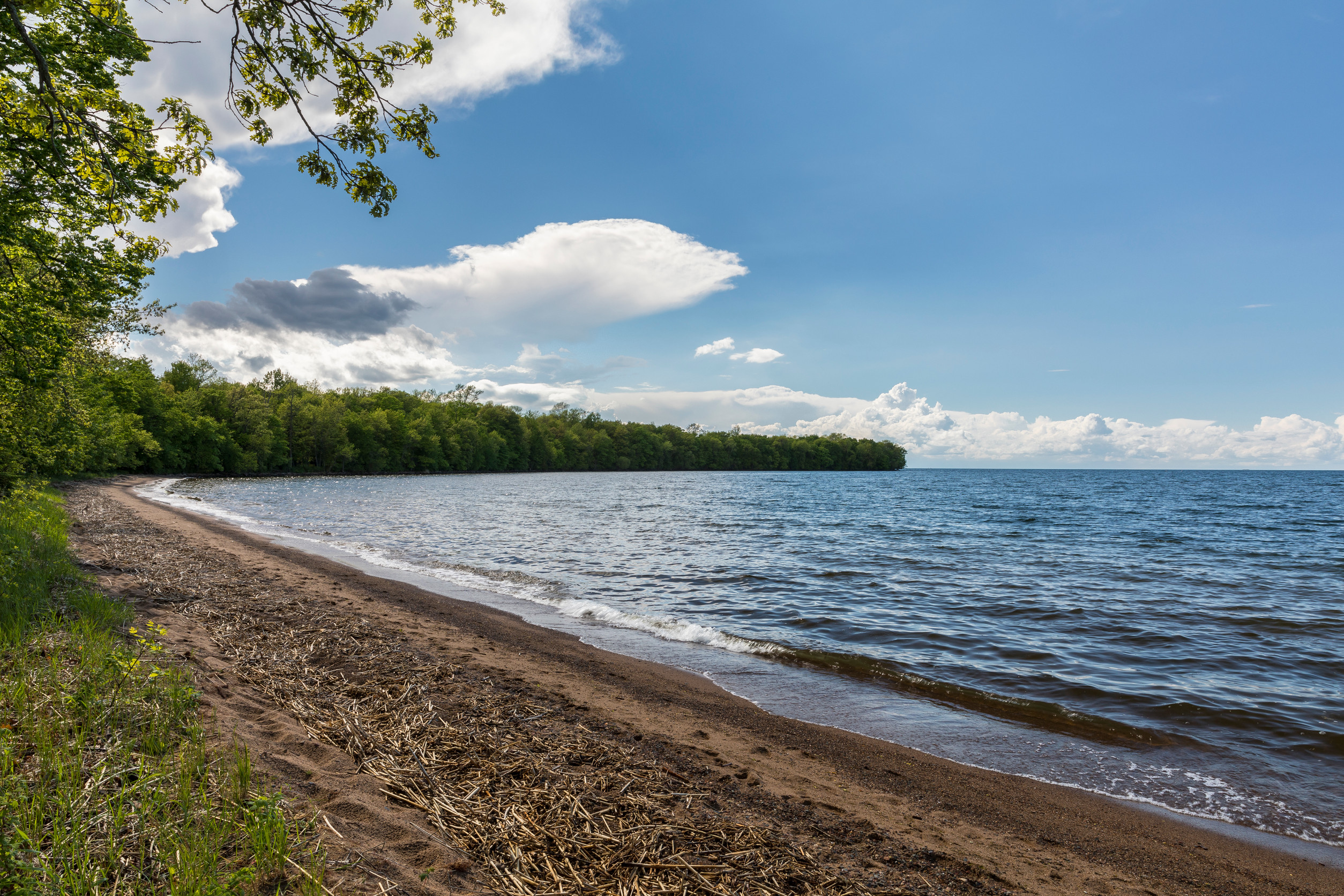 A sandy shoreline with gentle waves meeting the beach, bordered by green trees under a blue sky with scattered clouds—perfect for enjoying Minnesota lakes and ideal dock setups.