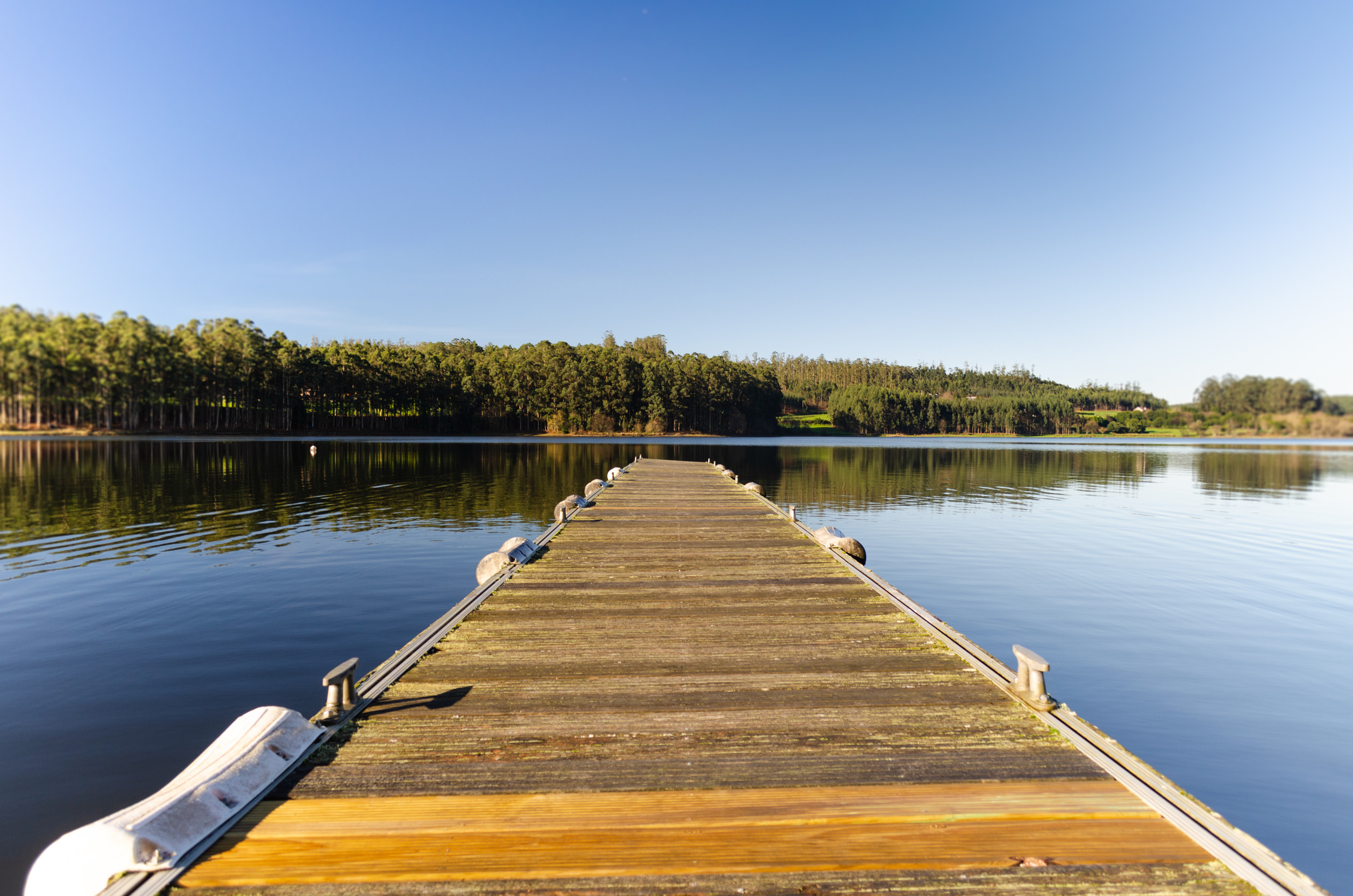 A wooden dock, the result of expert dock construction, extends over calm water toward a tree-lined shore under a clear blue sky, creating a peaceful lakeside scene.