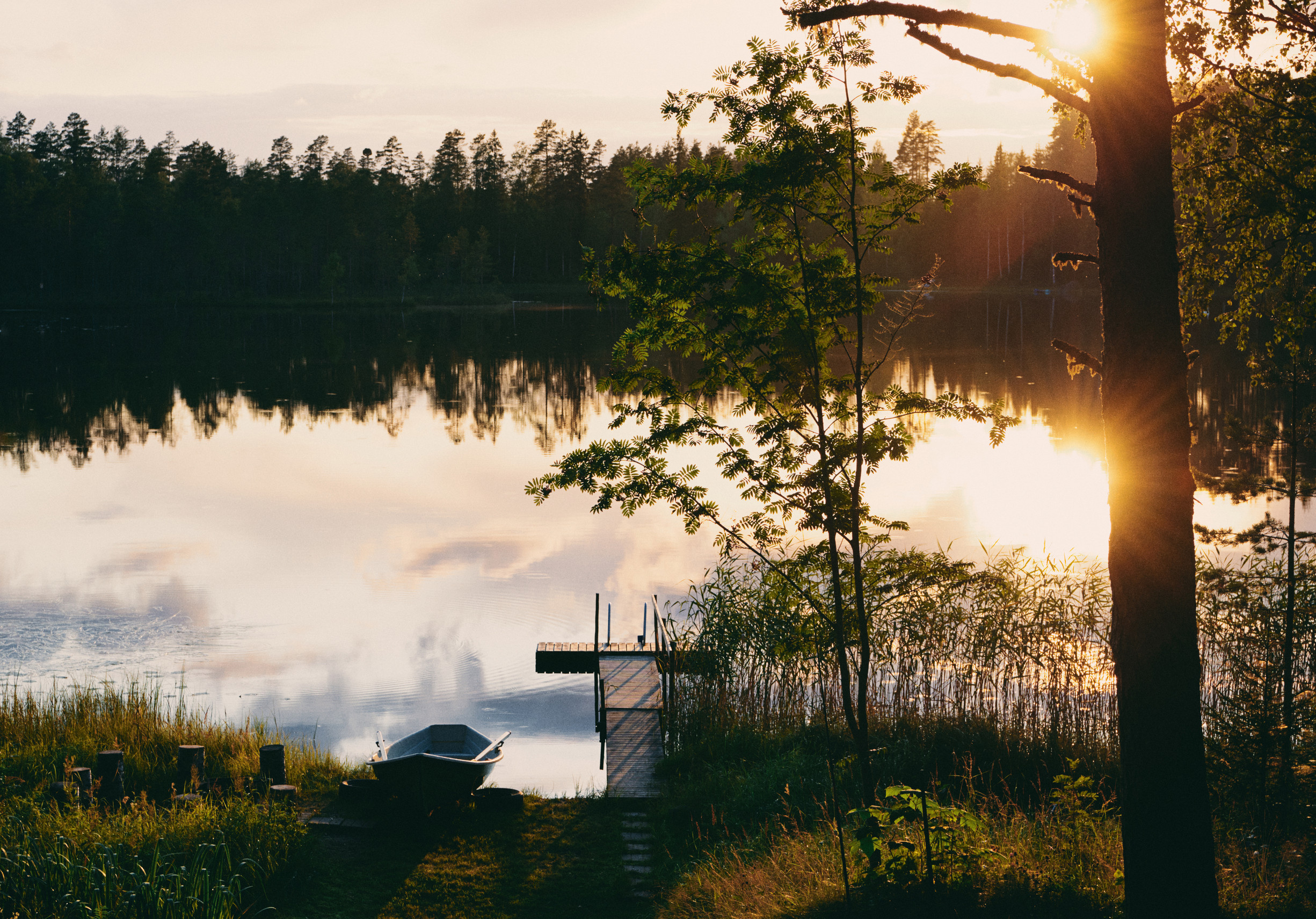 A small wooden dock with a rowboat sits on a calm lake at sunset, surrounded by tall grass and trees. The sun shines through the branches, casting warm light on the tranquil water and reflecting the sky.