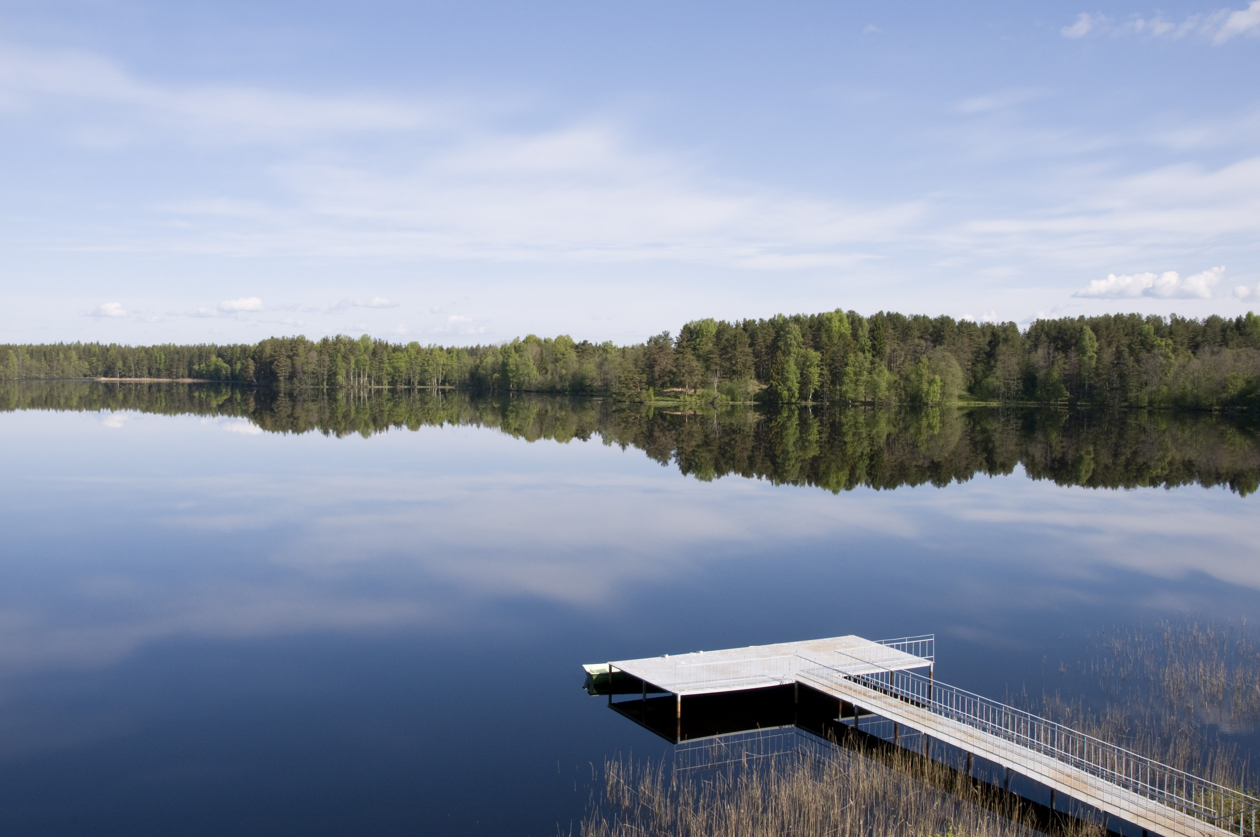 A wooden dock extends over a calm lake, reflecting a blue sky with light clouds and a forest of green trees along the shoreline—a classic scene on Minnesota lakefronts, perfect for relaxing or adding dock solutions like a boat lift.