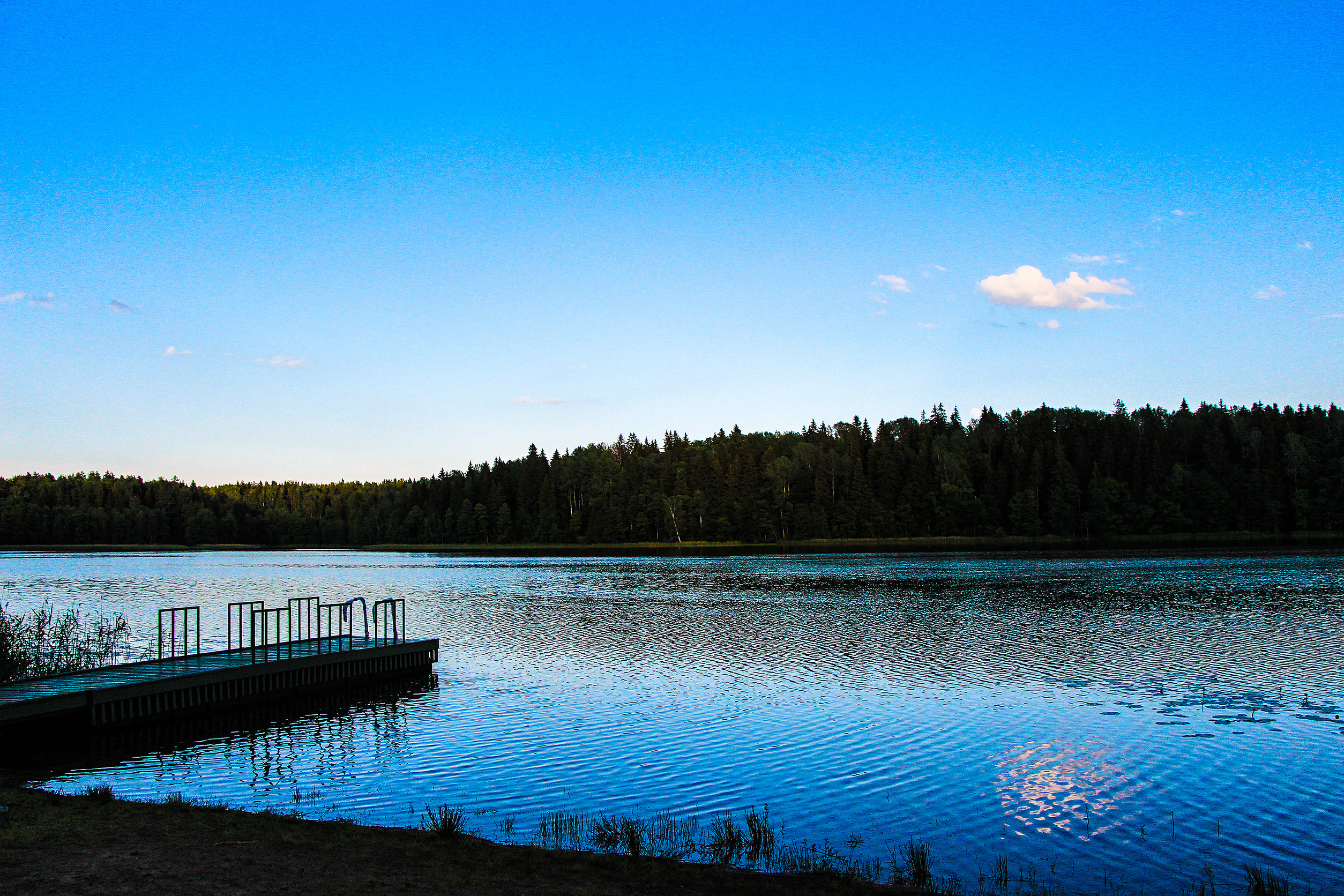 A calm lake with gentle ripples, bordered by a forest of tall trees under a clear blue sky. A dock extends into the water on the left side of the image. A few small clouds are visible.