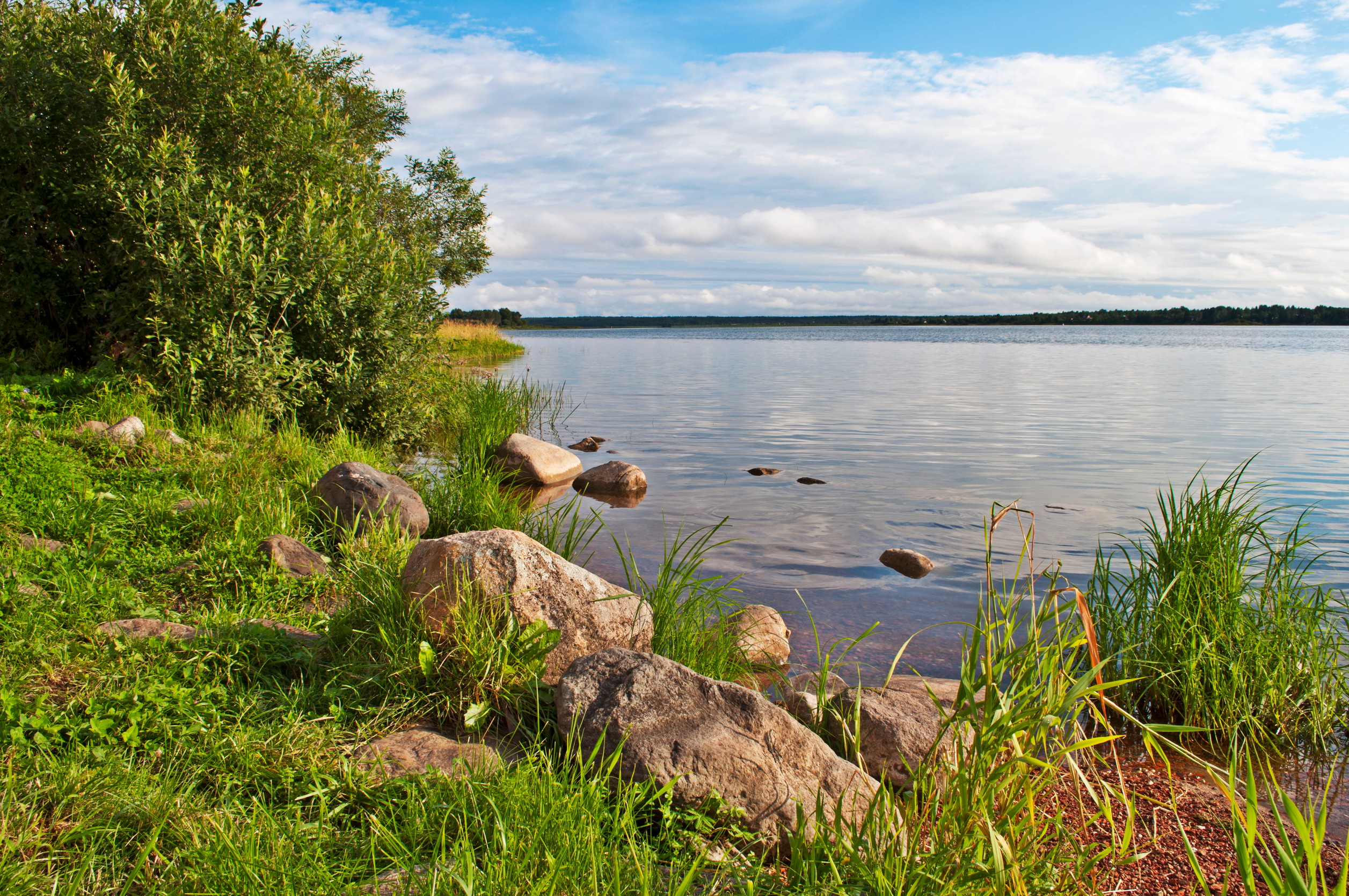 A calm lake with clear water bordered by green grass, rocks, and shrubs under a partly cloudy blue sky. The shoreline curves gently and trees are visible in the background across the water.