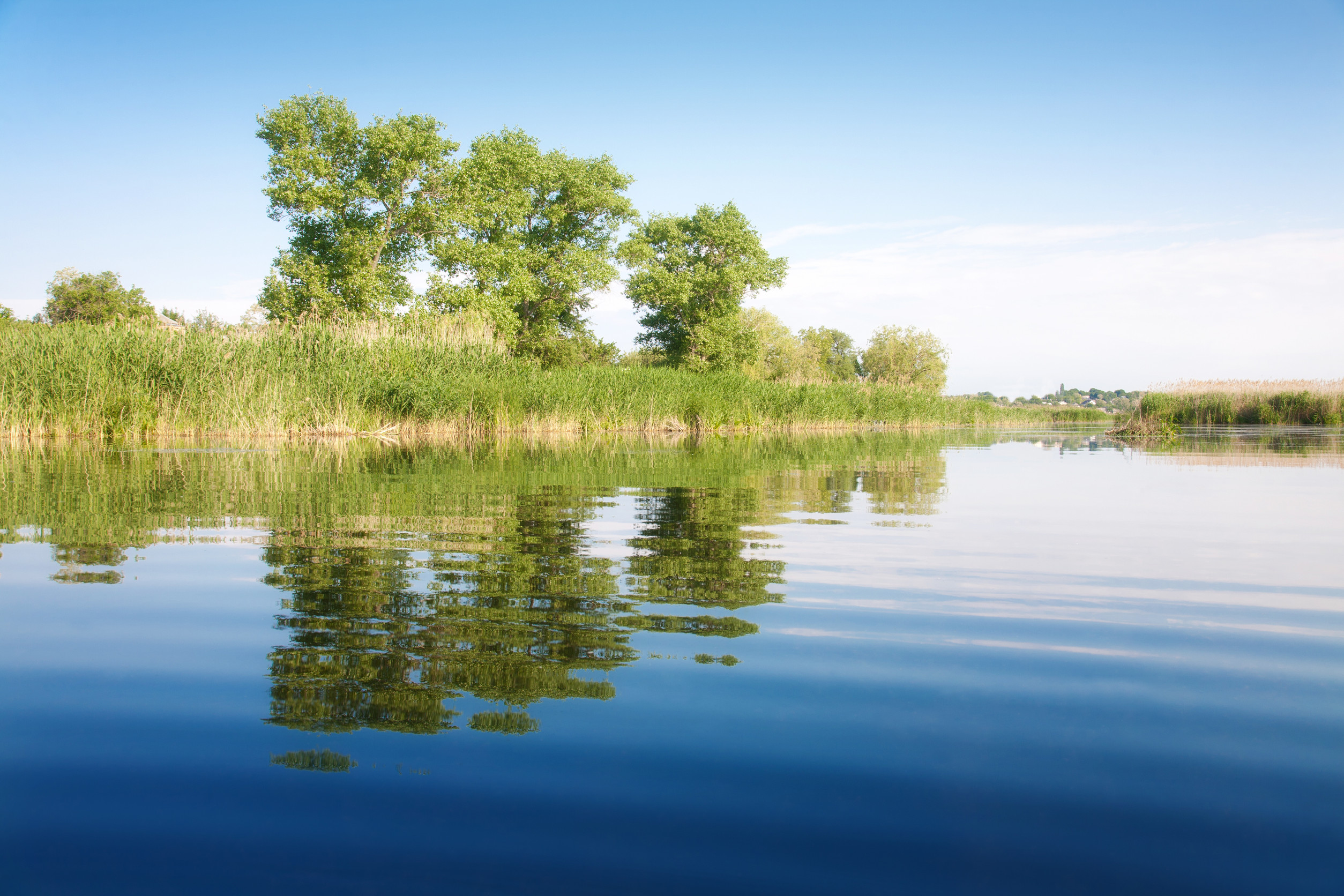A calm river with clear blue water reflecting green trees and tall grass under a bright blue sky with a few clouds.